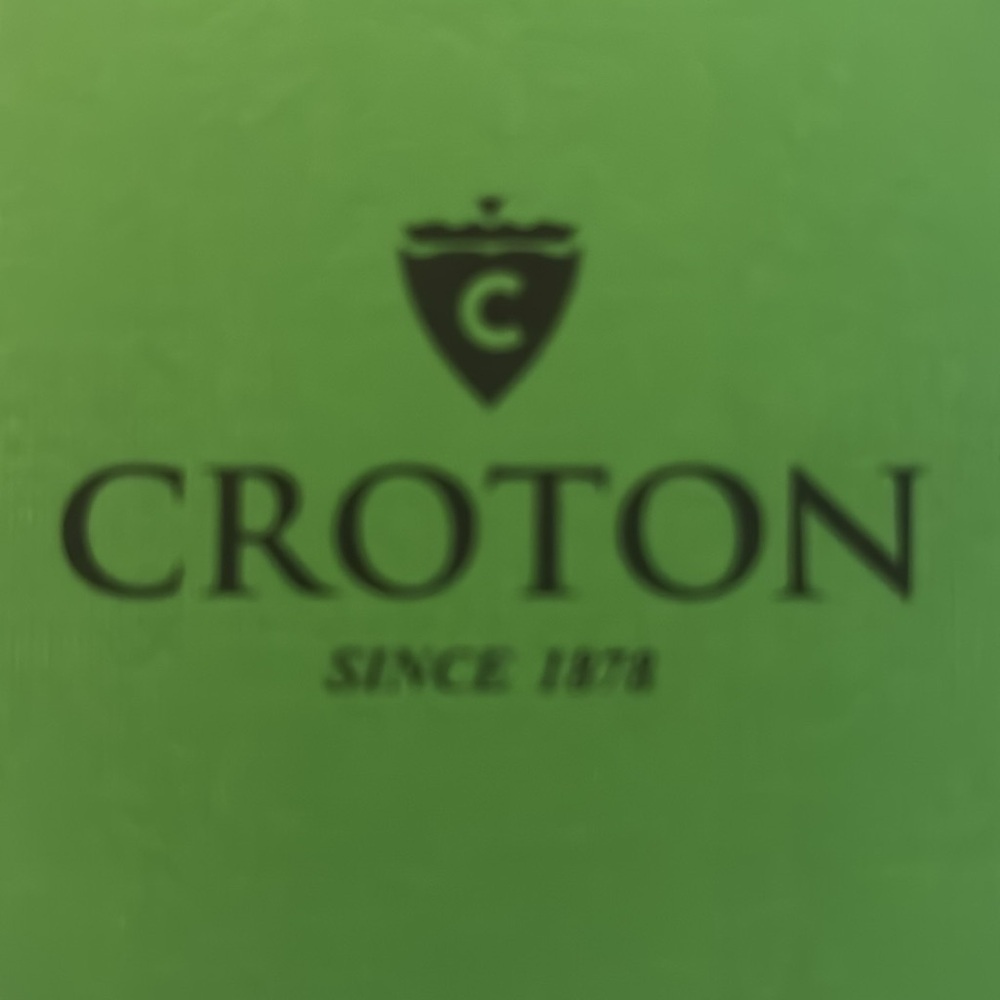 Croton men’s watches - Picture 5 of 5